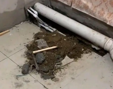 惠水卫生间漏水检测哪家好